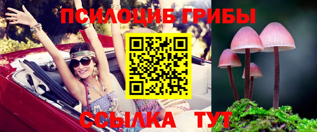 Галлюциногенные грибы GOLDEN TEACHER Стрежевой